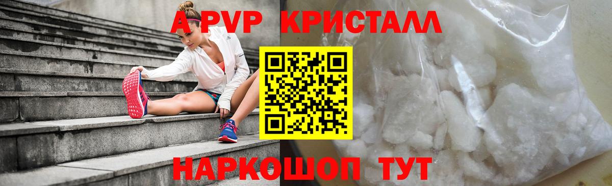 Alfa_PVP СК КРИС Кириши